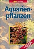 Aquarienpflanzen Foto, bester Preis 69,95 € neu 2024