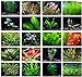 Photo Texas Aquarium Plant Bundle - 20 Species Live Aquarium Plants Package