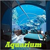 Aquarium Foto, bester Preis 0,92 € neu 2024
