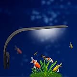 Luce LED acquario UEETEK Lampada clip per acquario luminoso con luce bianca foto, miglior prezzo EUR 12,99 nuovo 2024