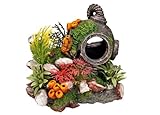 Nobby casco con piante acquario decorativo, 13.5 x 11 x 12 cm foto, miglior prezzo EUR 11,98 nuovo 2024
