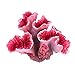 foto UEETEK Coralli rosa per decorazione acquario