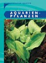 Aquarienpflanzen Foto, bester Preis 5,32 € neu 2024