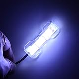 Mini luz LED para acuario, luz LED para plantas de acuario, pecera, mini decoración, lámpara LED suave Foto, mejor precio 11,99 € nuevo 2024