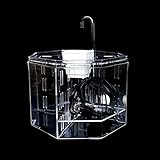 JJWC Desktop-Aquarium-Acryl-Isolationsbox-Fischbehälter-Zieraquarium-Zuchtkasten Büro-Dekoration Foto, bester Preis 112,15 € neu 2024
