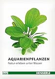 Aquarienpflanzen: Natur erleben unter Wasser Foto, bester Preis 7,08 € neu 2024