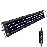 NICREW ClassicLED Gen 2 Aquarium Light, Dimmable LED Fish Tank Light with 2-Channel Control, White and Blue LEDs, High Output, Size 30 to 36 Inch, 25 Watts Photo, best price $47.99 new 2024