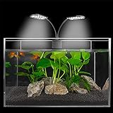 Foreverup LED Aquarium Licht, Aquarium Beleuchtung mit Clip, Clip-on Aquarium Lampe Fish Tank Lights Aquarium Clip Licht für Fisch Tank Pflanze, Zierfische, Wasserpflanzen, EU-Stecker (weißes Licht) Foto, bester Preis 13,99 € neu 2024