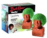 Chia Pet Bob Ross with Seed Pack, Decorative Pottery Planter, Easy to Do and Fun to Grow, Novelty Gift, Perfect for Any Occasion Photo, best price $20.12 new 2024