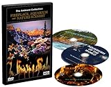 3 DVD Set - Kaminfeuer und Aquarien und Naturlandschaften Foto, bester Preis 34,95 € neu 2024
