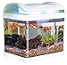 Foto Sweetypet Aquarium: Transport-Fischbecken mit Filter, LED-Beleuchtung und USB, 3,3 Liter (Mini Aquarium)