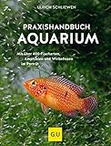 Praxishandbuch Aquarium: Mit über 400 Fischarten, Amphibien und Wirbellosen im Porträt. Der Bestseller jetzt komplett neu überarbeitet (GU Standardwerk) Foto, bester Preis 19,99 € neu 2024