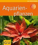 Aquarienpflanzen Foto, bester Preis 9,99 € neu 2024