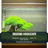 IWAGUMI AQUASCAPE: IWAGUMI AQUASCAPE – HOW TО AND GUIDE Photo, best price $2.99 new 2024