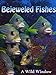 Photo Bejeweled Fishes