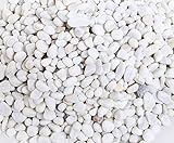 Ruiuzioong Kieselsteine 2 Pfund polierter Kies, natürliche polierte gemischte Farbsteine, kleine dekorative Flussgesteinsteine (White-1.5KG) Foto, bester Preis 14,99 € neu 2024