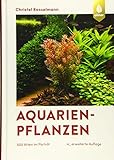 Aquarienpflanzen: 500 Arten im Porträt Foto, bester Preis 69,95 € neu 2024