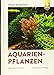 Foto Aquarienpflanzen: 500 Arten im Porträt