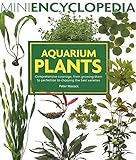 Aquarium Plants: Comprehensive coverage, from growing them to perfection to choosing the best varieties. (Mini Encyclopedia Series) Photo, best price $12.57 new 2024