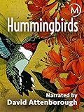 Hummingbirds Photo, best price  new 2024