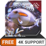 free deep fish tank HD - dekorieren Sie Ihr Zimmer mit einem wunderschönen Live-Aquarium auf Ihrem HDR 4K-Fernseher, 8K-Fernseher und Feuergeräten als Hintergrundbild, Dekoration für die Weihnachtsfer Foto, bester Preis 0,00 € neu 2024