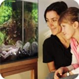 Aquarium and Fish Care Tactics Photo, best price $1.34 new 2024