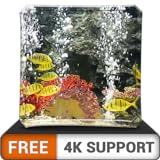 aquarium paisible HD gratuit - décorez votre chambre avec un magnifique aquarium de vie marine sur votre téléviseur HDR 4K, votre téléviseur 8K et vos appareils à feu comme fond d'écran, décoration po Photo, meilleur prix 0,00 € nouveau 2024
