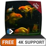 FREE Beautiful Aquarium HD - Decorate your room with beautiful Aquarium on your HDR 4K TV, 8K TV and Fire Devices as a wallpaper, Decoration for Christmas Holidays, Theme for Mediation & Peace Photo, best price $0.00 new 2024