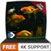 Photo FREE Beautiful Aquarium HD - Decorate your room with beautiful Aquarium on your HDR 4K TV, 8K TV and Fire Devices as a wallpaper, Decoration for Christmas Holidays, Theme for Mediation & Peace