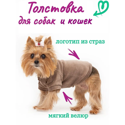 Толстовка для собак и кошек, р. 22 (мокко), длина изделия 18-19 см фотография