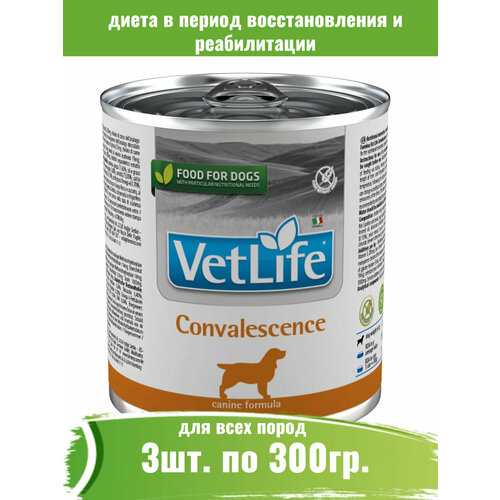 Farmina 3шт по 300г Vet Life Dog Convalescence паштет консервы для собак после болезни фотография