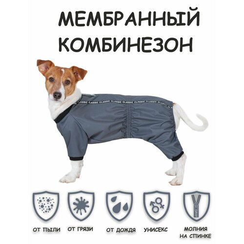 Дождевик для собак DOGMODA Мартин (серый) унисекс р. 3, 28см фотография