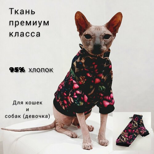 Толстовка для кошек и собак мелких пород фотография