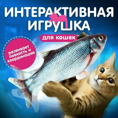 Мягкая игрушка для кошек интерактивная/ рыба механическая/Карась фотография