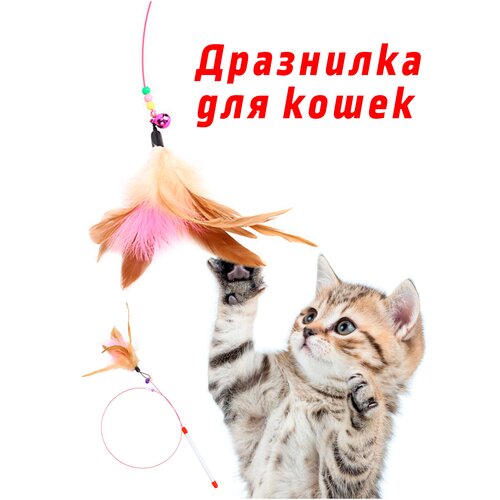 Игрушка для кошек / Дразнилка для котов / Игрушки для животных. фотография