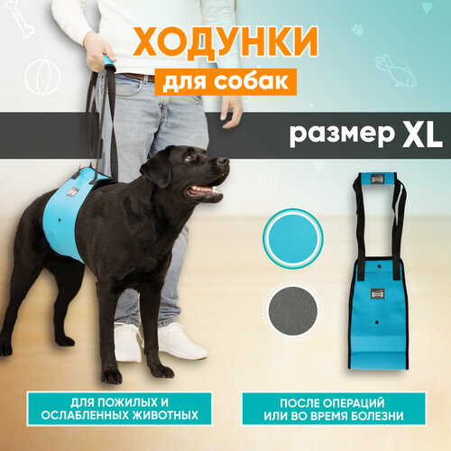 Задняя поддержка для собак, ходунки для собак, Mr Dog голубая, XL фотография