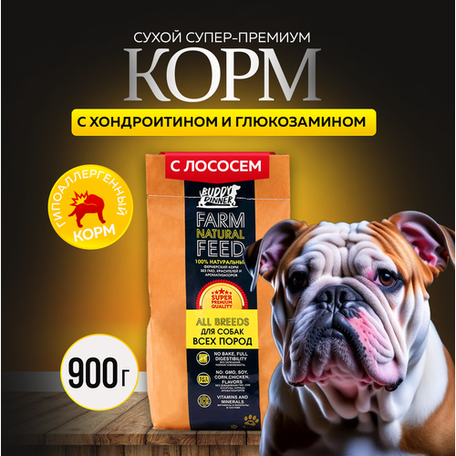 Сухой корм для собак средних и крупных пород Buddy Dinner Gold Line Hypoallergenic с лососем 900 гр фотография