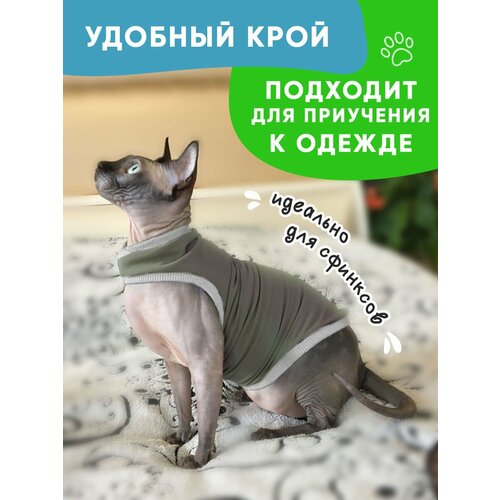 Одежда для животных кошек сфинкс и собак мелких пород, размер XL фотография