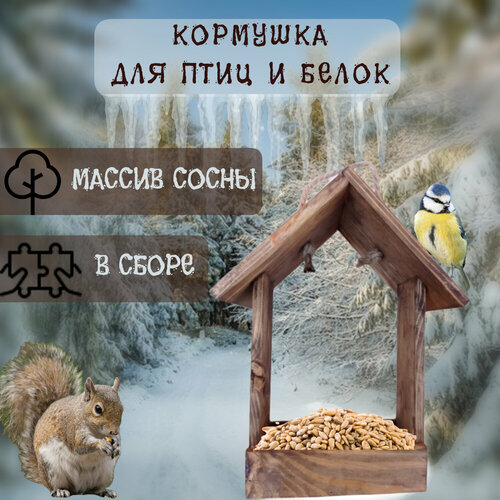 Кормушка для птиц из массива сосны фотография