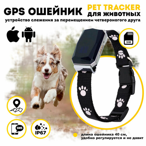 GPS ошейник для собак и кошек фотография