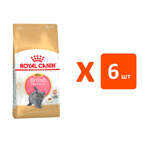 ROYAL CANIN BRITISH SHORTHAIR KITTEN 34 для британских короткошерстных котят (2 кг х 6 шт) фотография