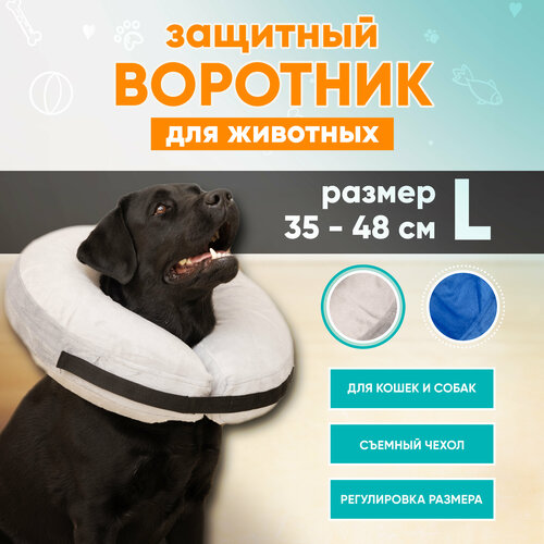 Защитный ветеринарный воротник для собак и кошек Mr Dog, L фотография