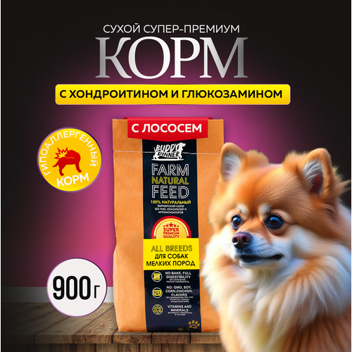 Сухой корм для собак мелких пород Buddy Dinner Gold Line Hypoallergenic с лососем 900 гр фотография