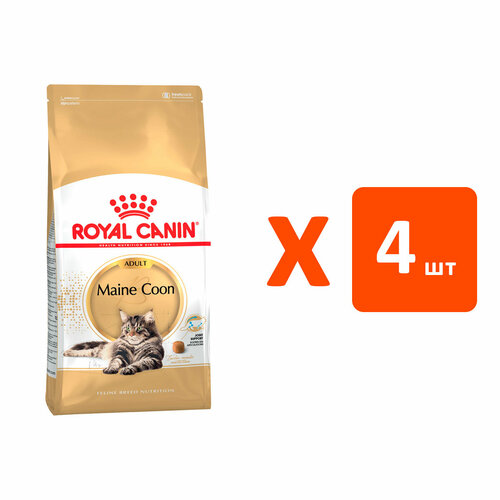 ROYAL CANIN MAINE COON ADULT для взрослых кошек мэйн кун (4 кг х 4 шт) фотография