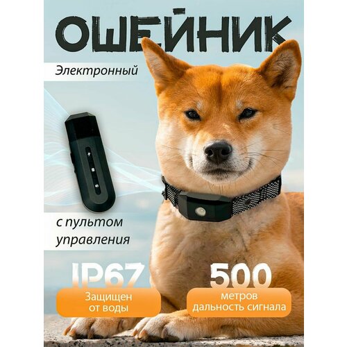 Электронный ошейник SuperPets для мелких, средних и крупных пород собак и кошек фотография