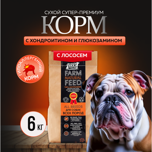 Сухой корм для собак крупных и средних пород Buddy Dinner Orange Line Hypoallergenic с лососем 6 кг фотография