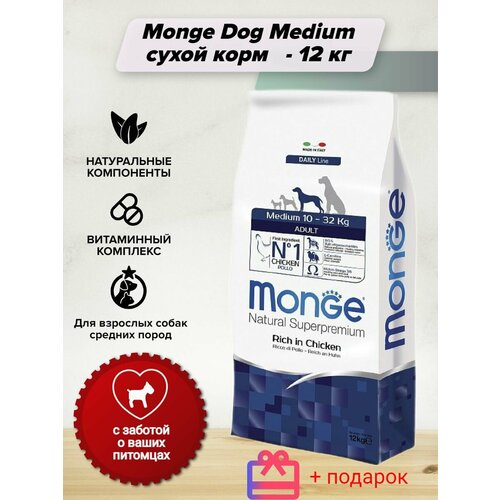 Monge Dog Medium сухой корм для взрослых собак средних пород - 12 кг для собак всех пород с курицей, рисом и картофелем 12 кг фотография