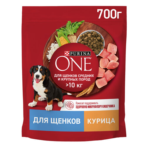 Сухой корм для щенков Purina ONE для средних и крупных пород с курицей и рисом 700 г фотография