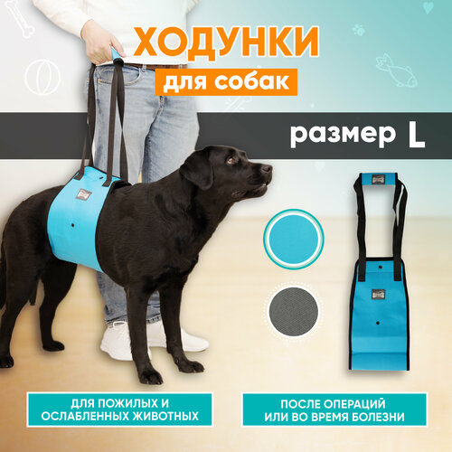 Задняя поддержка для собак, ходунки для животных Mr Dog голубая, L фотография