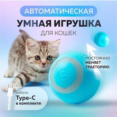 фотография Игрушка для кошек умный мяч, купить онлайн 370 рубл